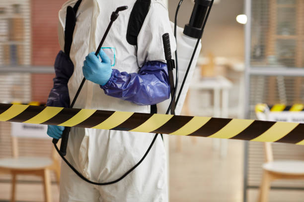 Professional Sewage Cleanup technician working in Ledyard, CT